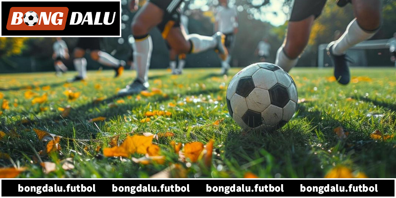 Khám phá chi tiết kèo chấp 0.5