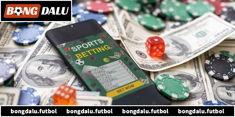 Khám phá tất cả về 2bong