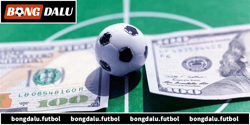 Tổng quan chính sách chơi có trách nhiệm