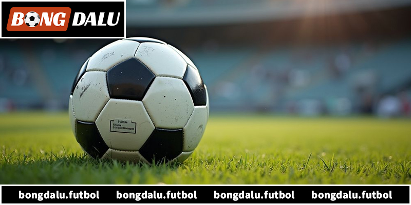 Tổng quan về kèo chấp 1/4